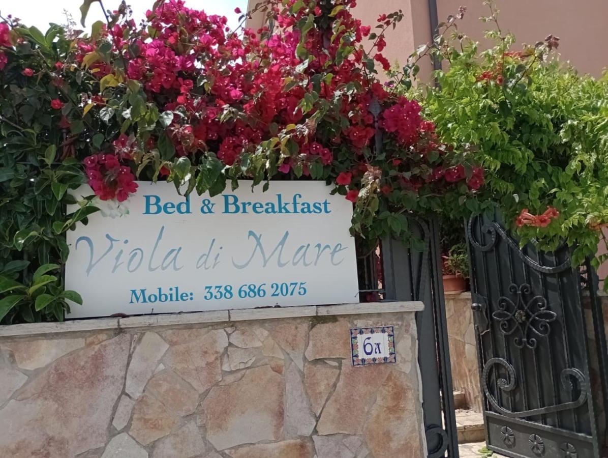 Viola Di Mare Rooms And Parking Termoli Luaran gambar